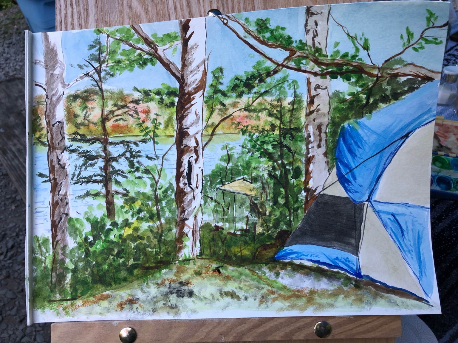Mary's watercolor of a blue tent among birch trees overlooking a quiet lake